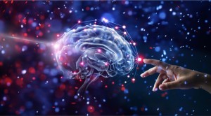 Hand,Touching,Brain,And,Network,Connection,On,Glitter,Bright,Lights Geheugentraining in Oss