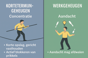 concentratie en aandacht